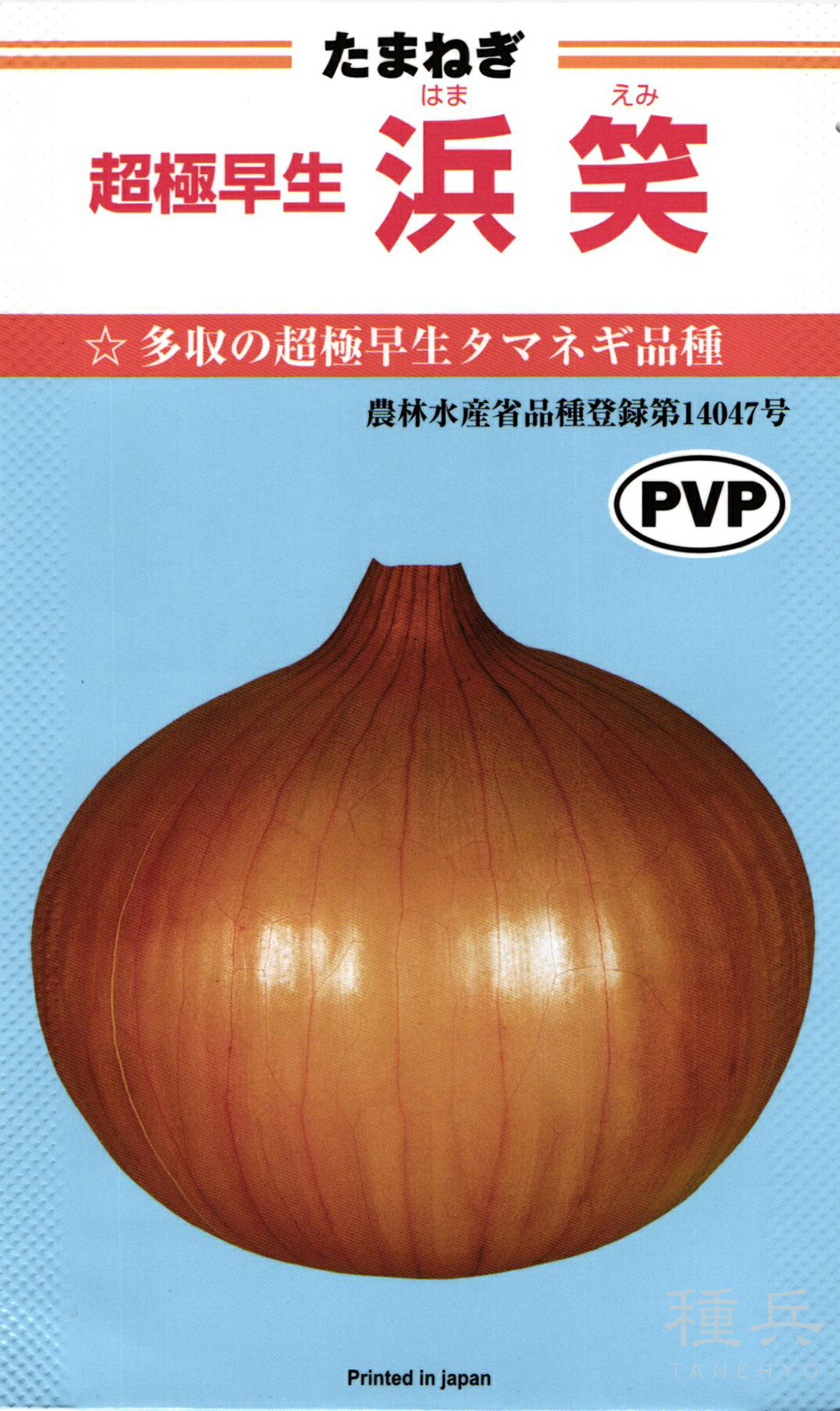 楽天市場】EXスター 100g 超極早生品種 玉ねぎ たまねぎ 玉葱