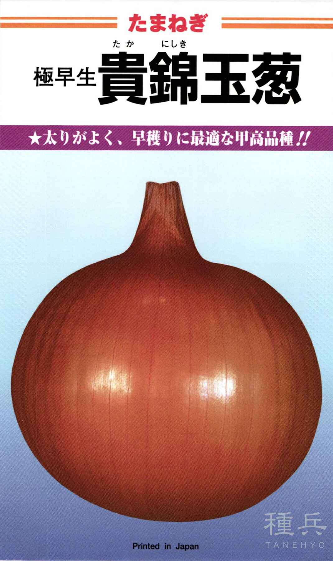 極早生玉ねぎ 種 『貴錦』  カネコ種苗