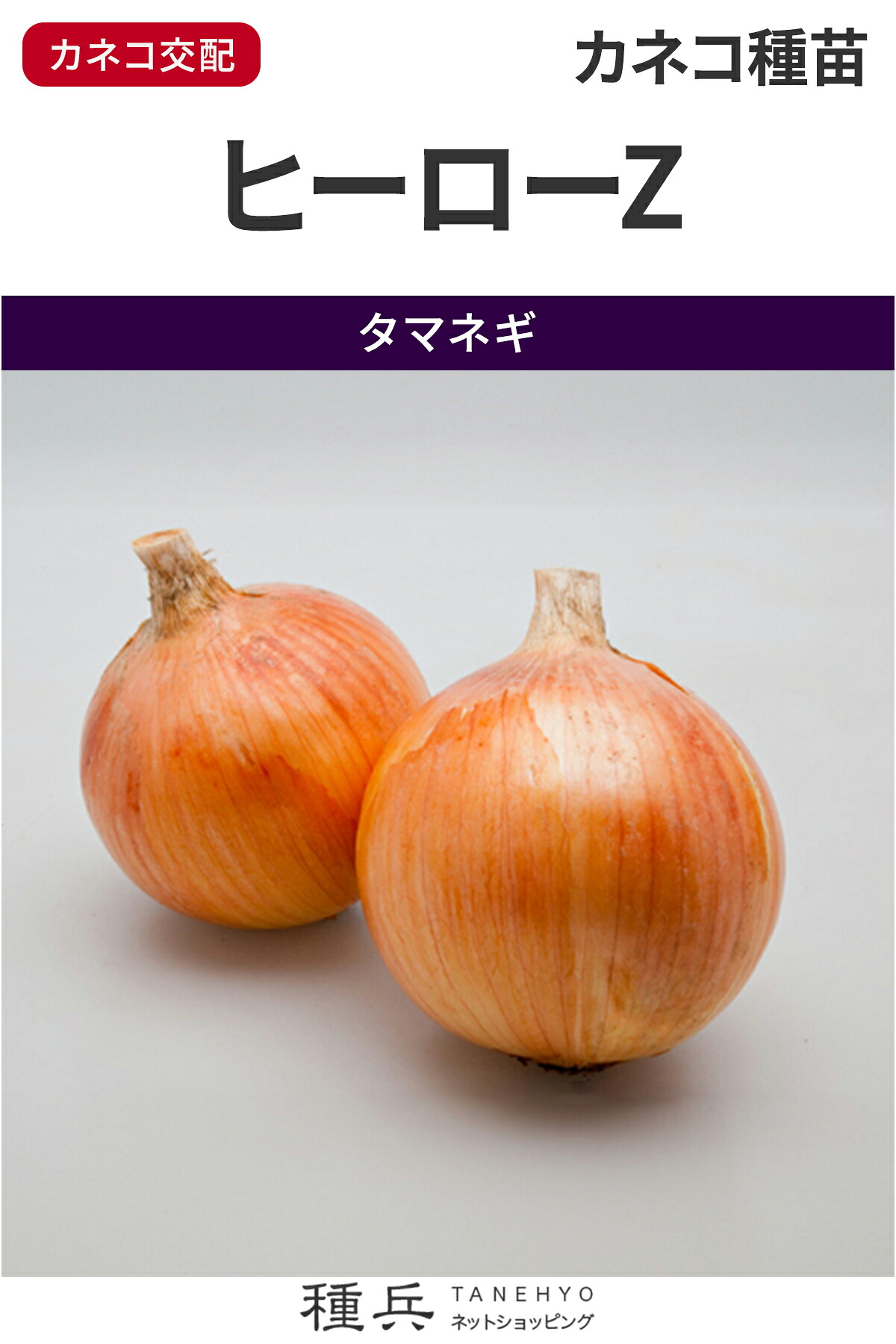 中生玉ねぎ 種 『主人公Z』  カネコ種苗