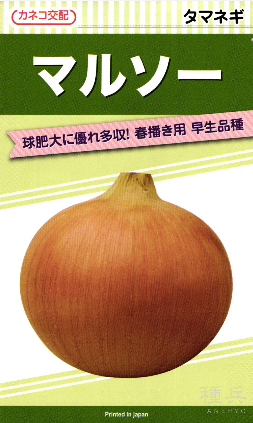 早生タマネギ 種 『マルソー』 カネコ種苗