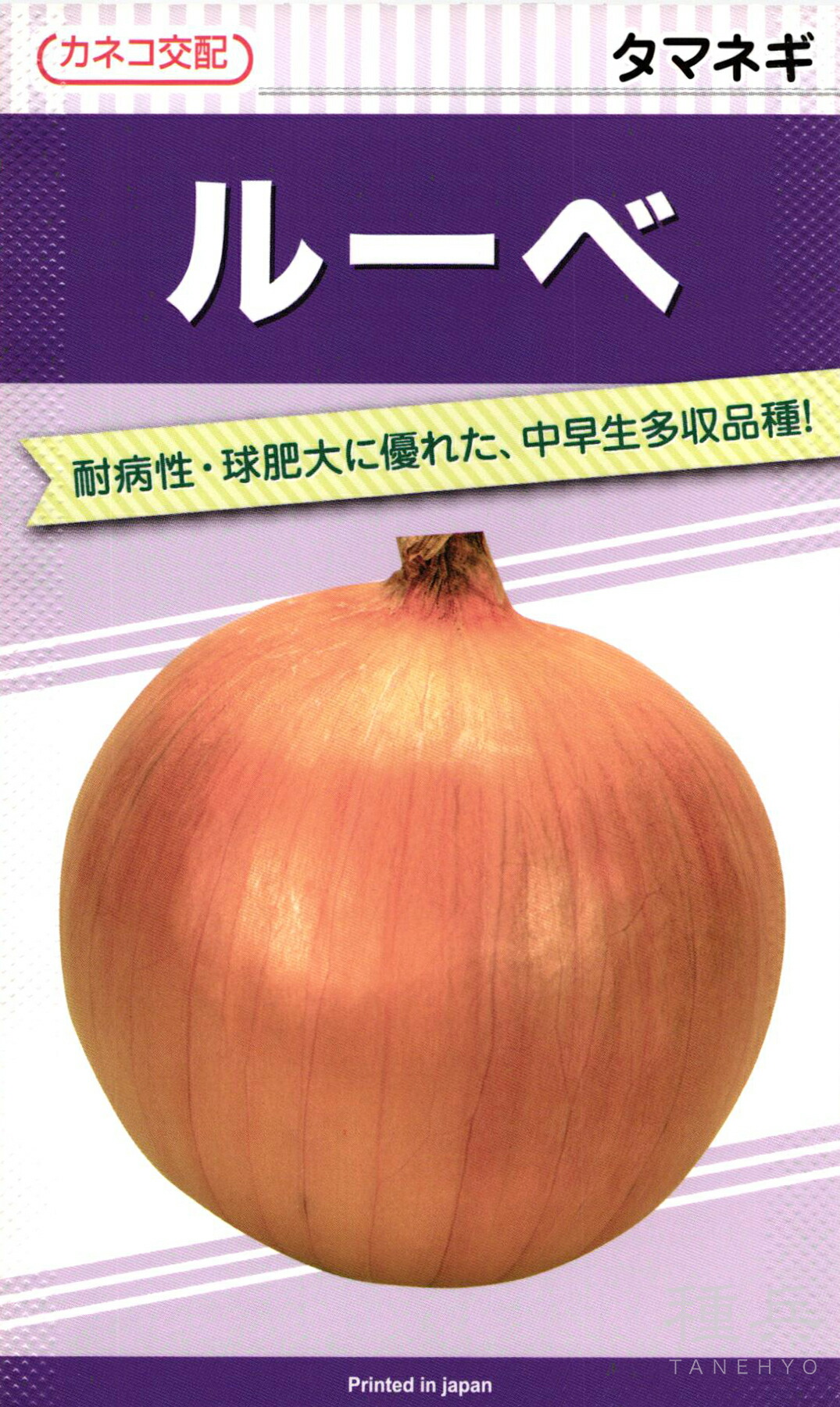 中早生玉ねぎ 種 『ルーベ』  カネコ種苗