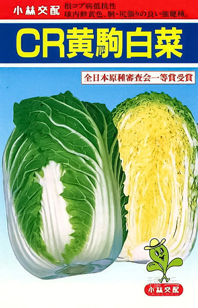 ハクサイ 種 『CR黄駒』 小林種苗