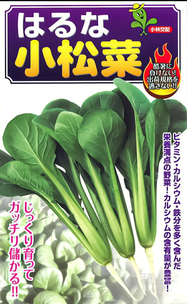 コマツナ 種 『はるな』 小林種苗