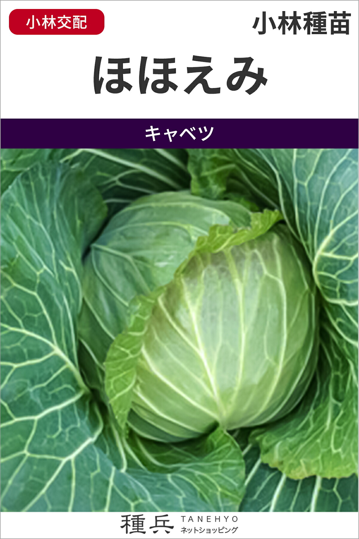 球菜 種 『ほほえみ』  小林種苗
