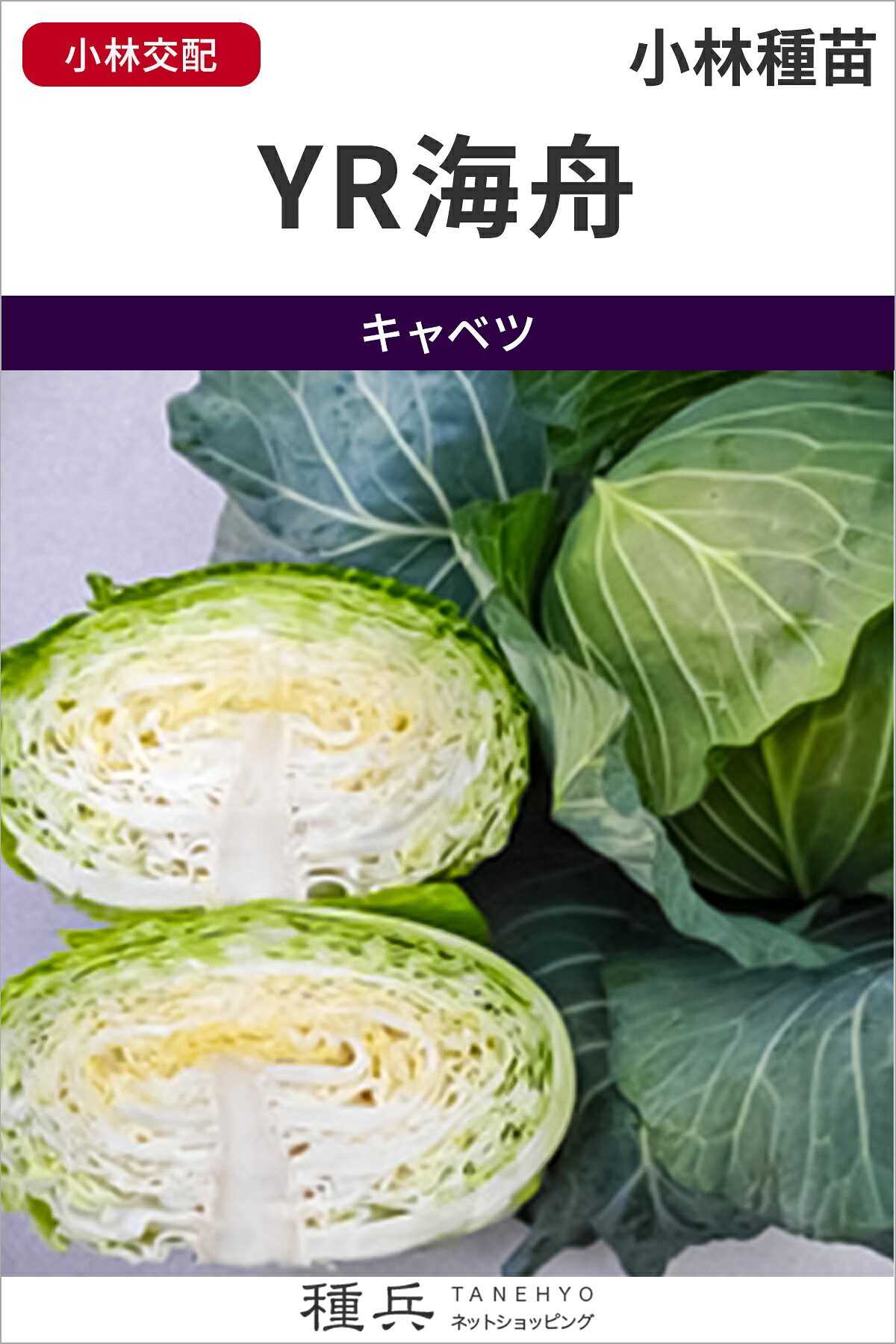 年内どり球菜 種 『YR海舟』  小林種苗