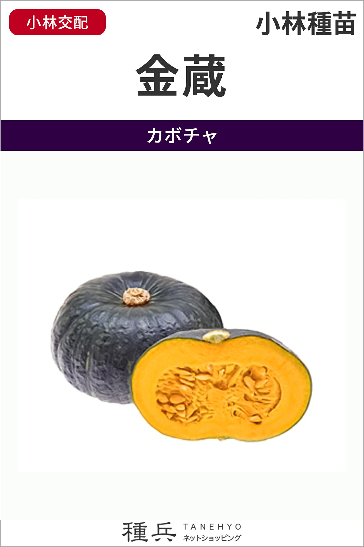 栗西洋カボチャ 種 『御金蔵』  小林種苗