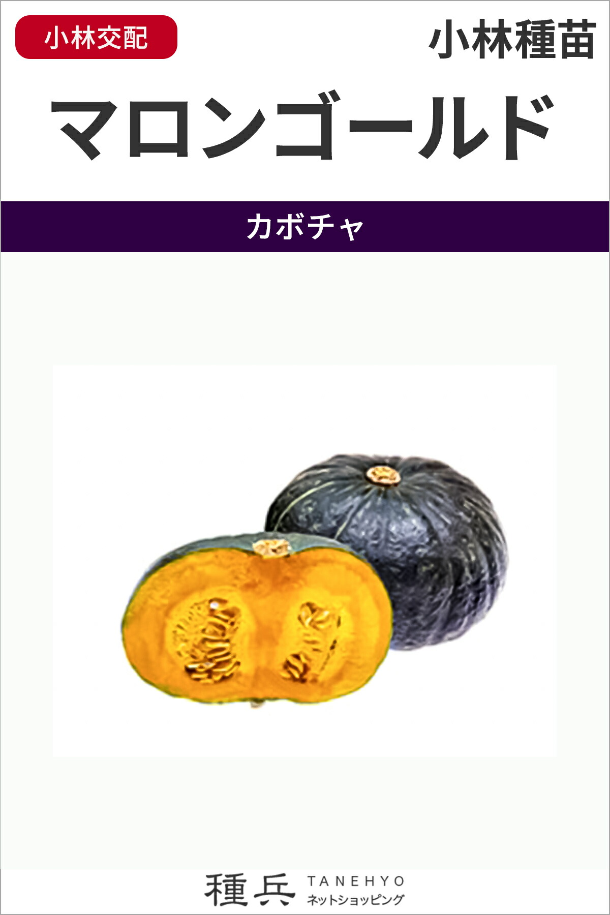 栗西洋カボチャ 種 『マロンゴールド』  小林種苗