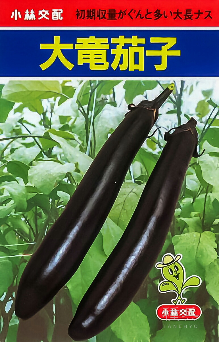 大長茄 種 『大竜』  小林種苗
