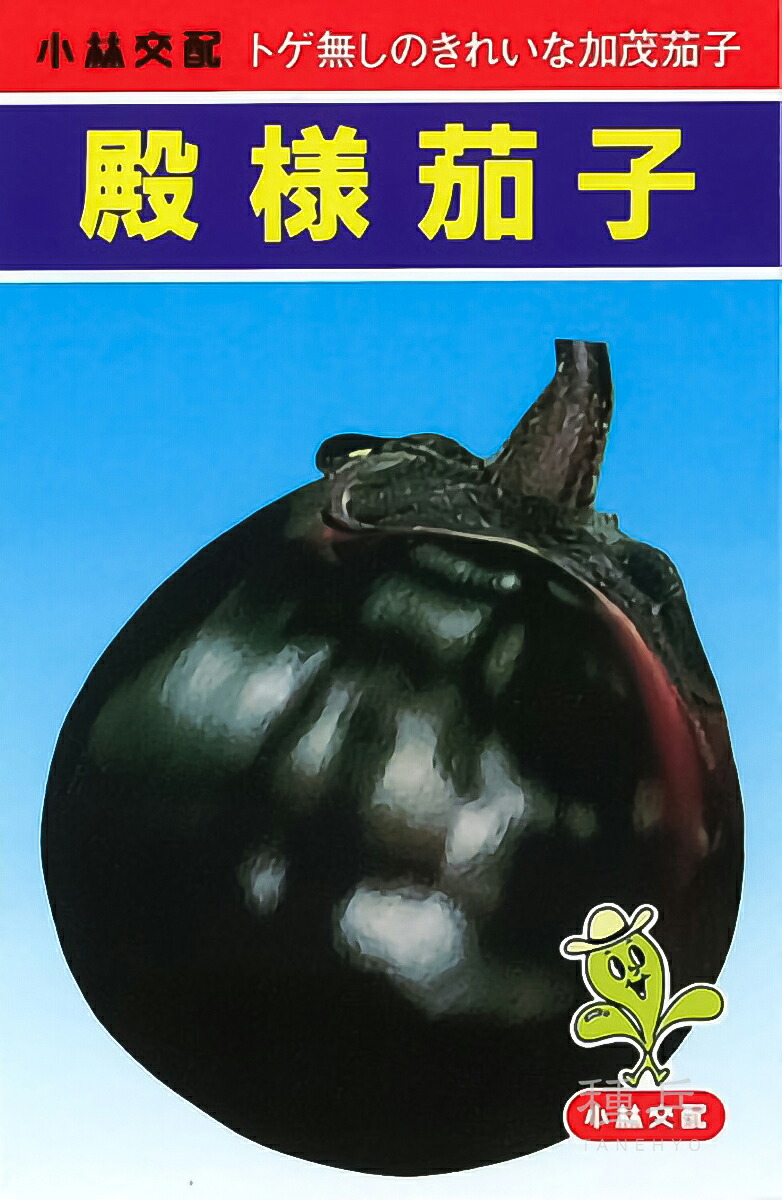 賀茂茄 種 『雇い主』  小林種苗