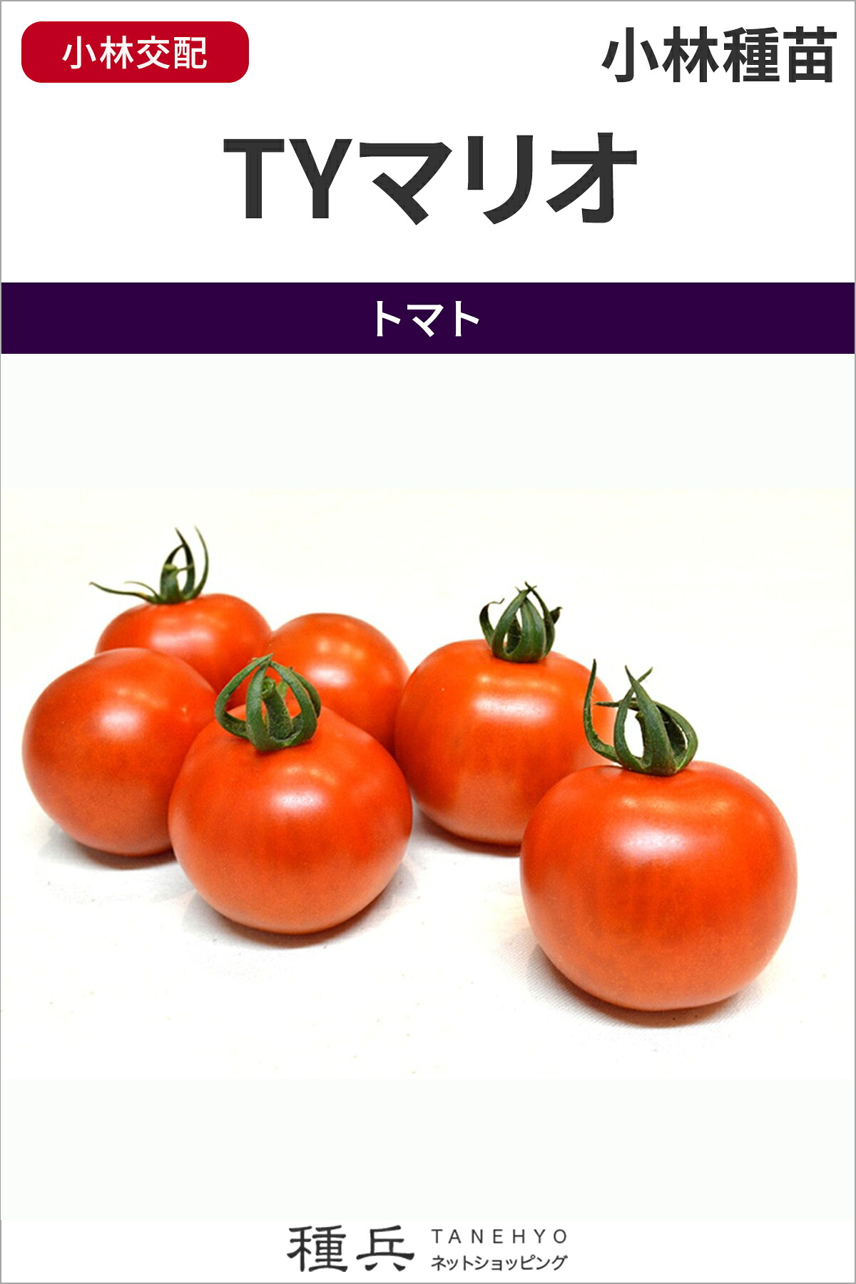 中玉トマト 種 『TYマリオ』 小林種苗