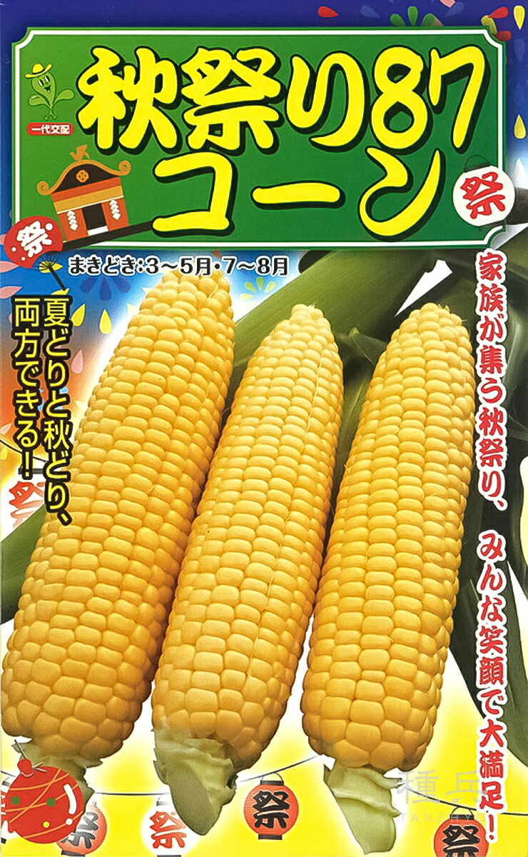 スイートコーン 種 『秋祭り87コーン』 小林種苗
