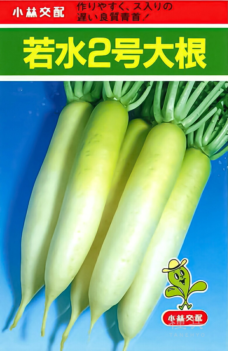 ダイコン 種 『若水2号』 小林種苗