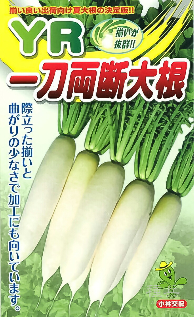 清白 種 『YR一刀両断』  小林種苗