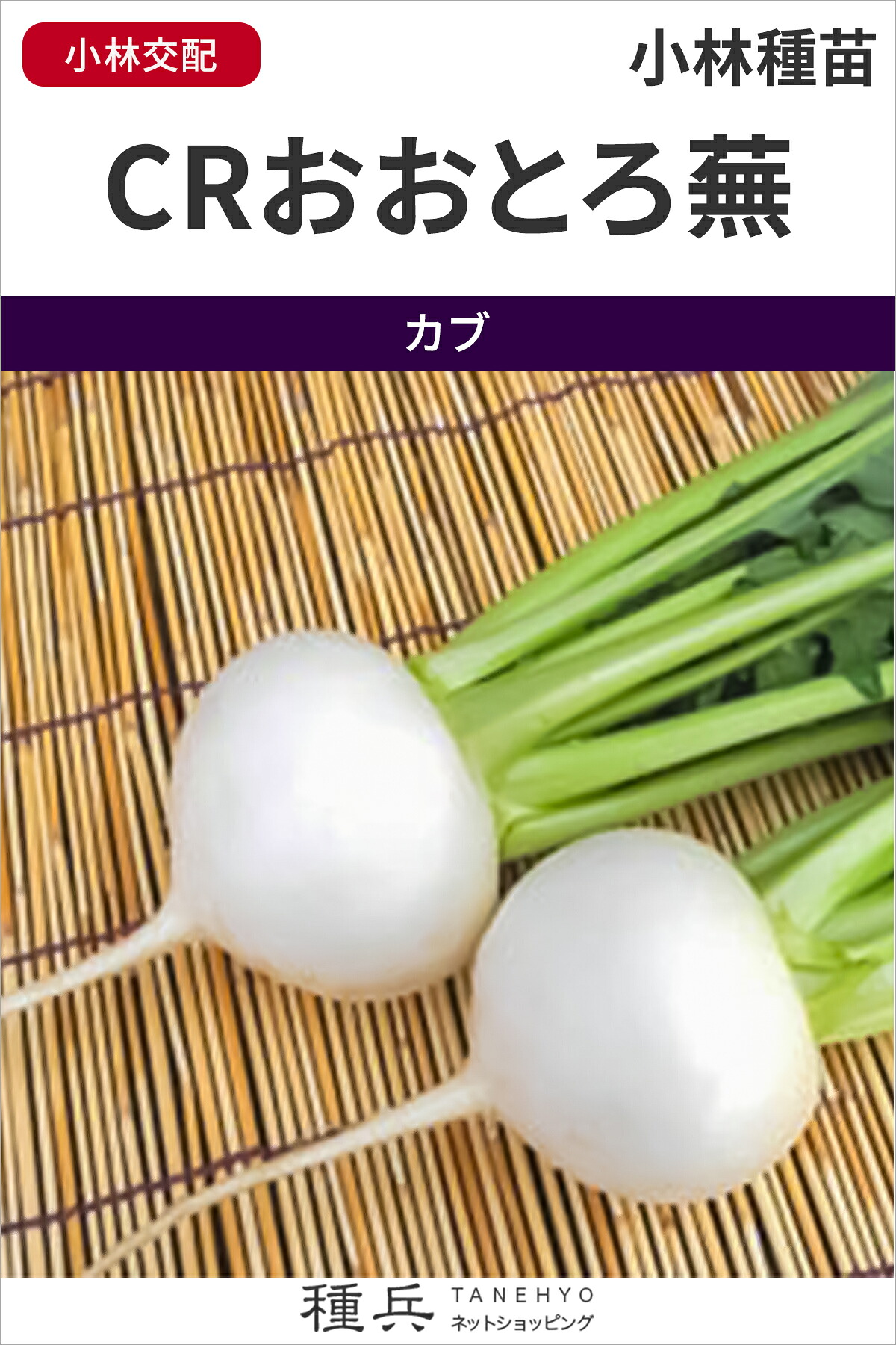 カブ 種 『CRおおとろ蕪』 小林種苗｜種兵ネットショッピング