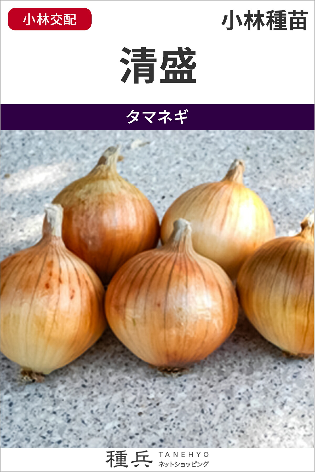 早生玉ねぎ 種 『清盛』  小林種苗