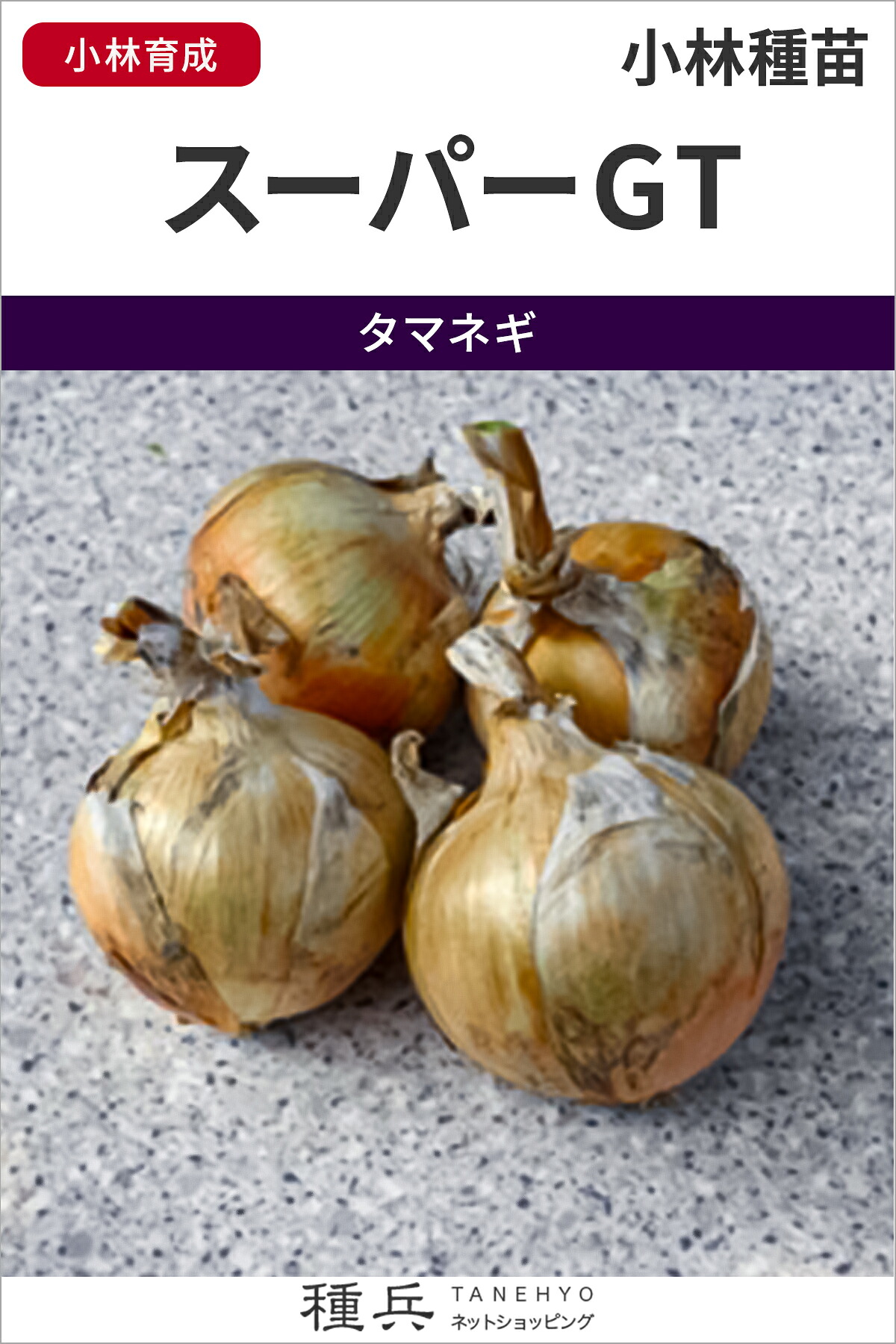 極早生玉ねぎ 種 『百貨店GT』  小林種苗