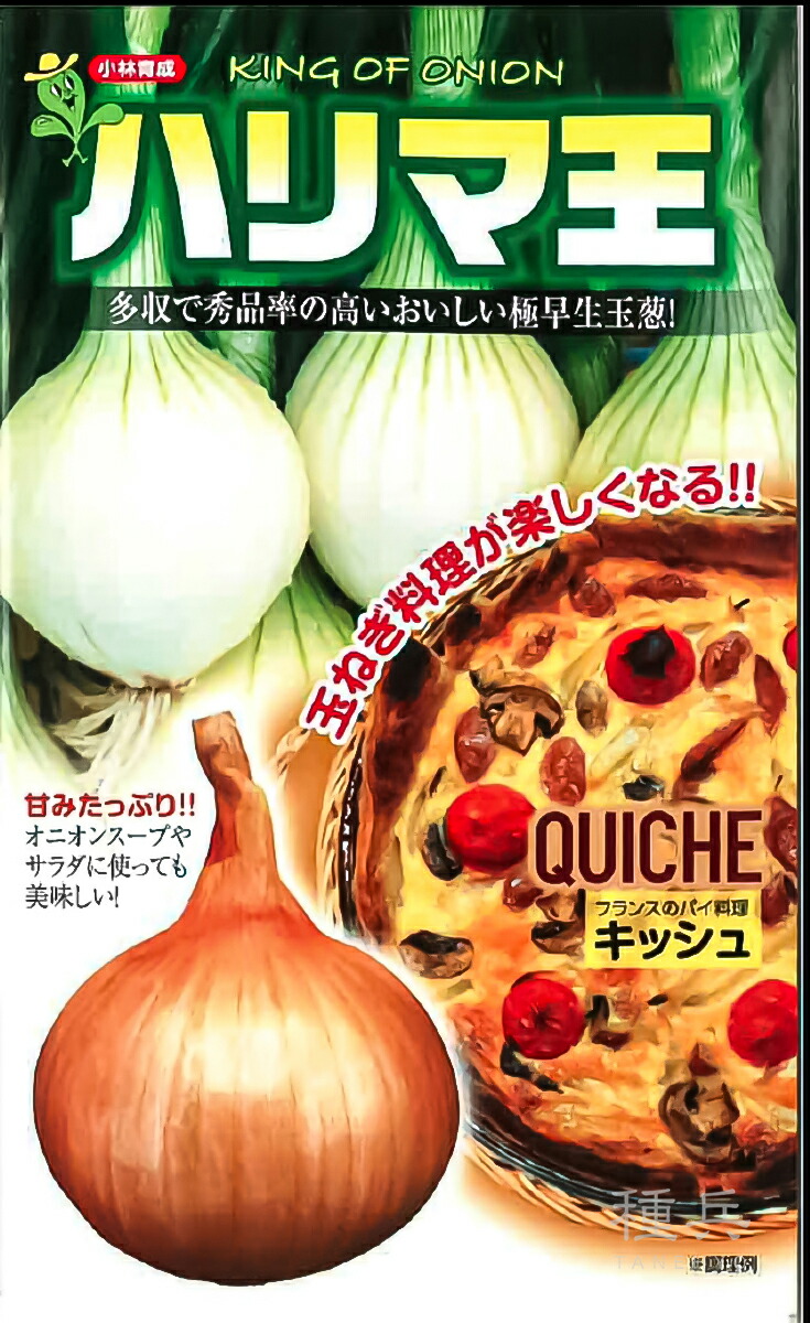 極早生玉ねぎ 種 『ハリマ王』  小林種苗
