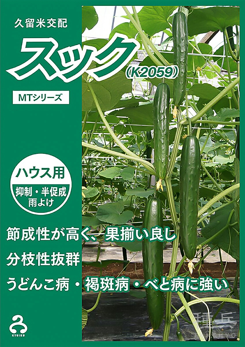 胡瓜 種 『スック（K2059）』  久留米原種