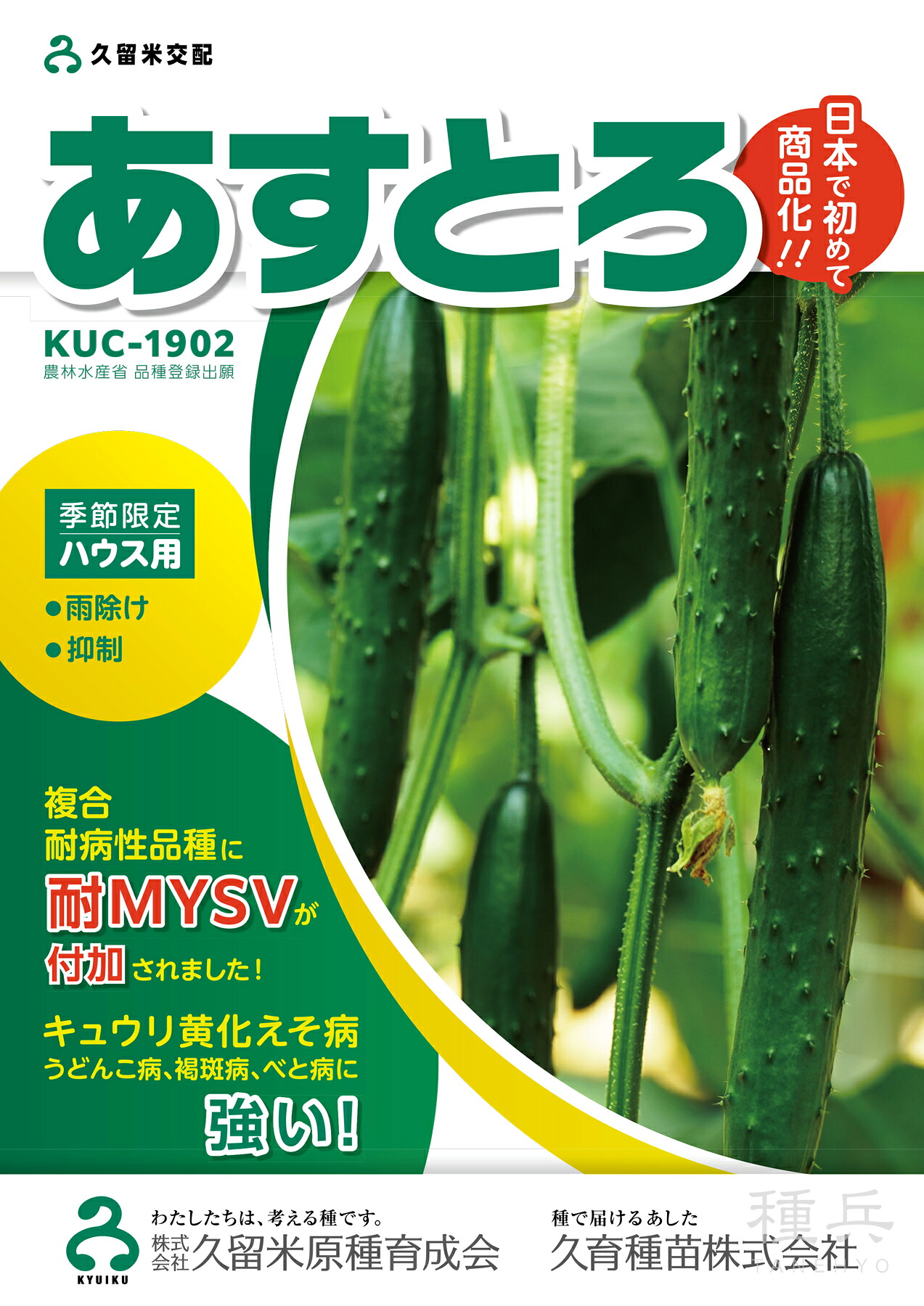 黄瓜 種 『あしたとろ』  久留米原種