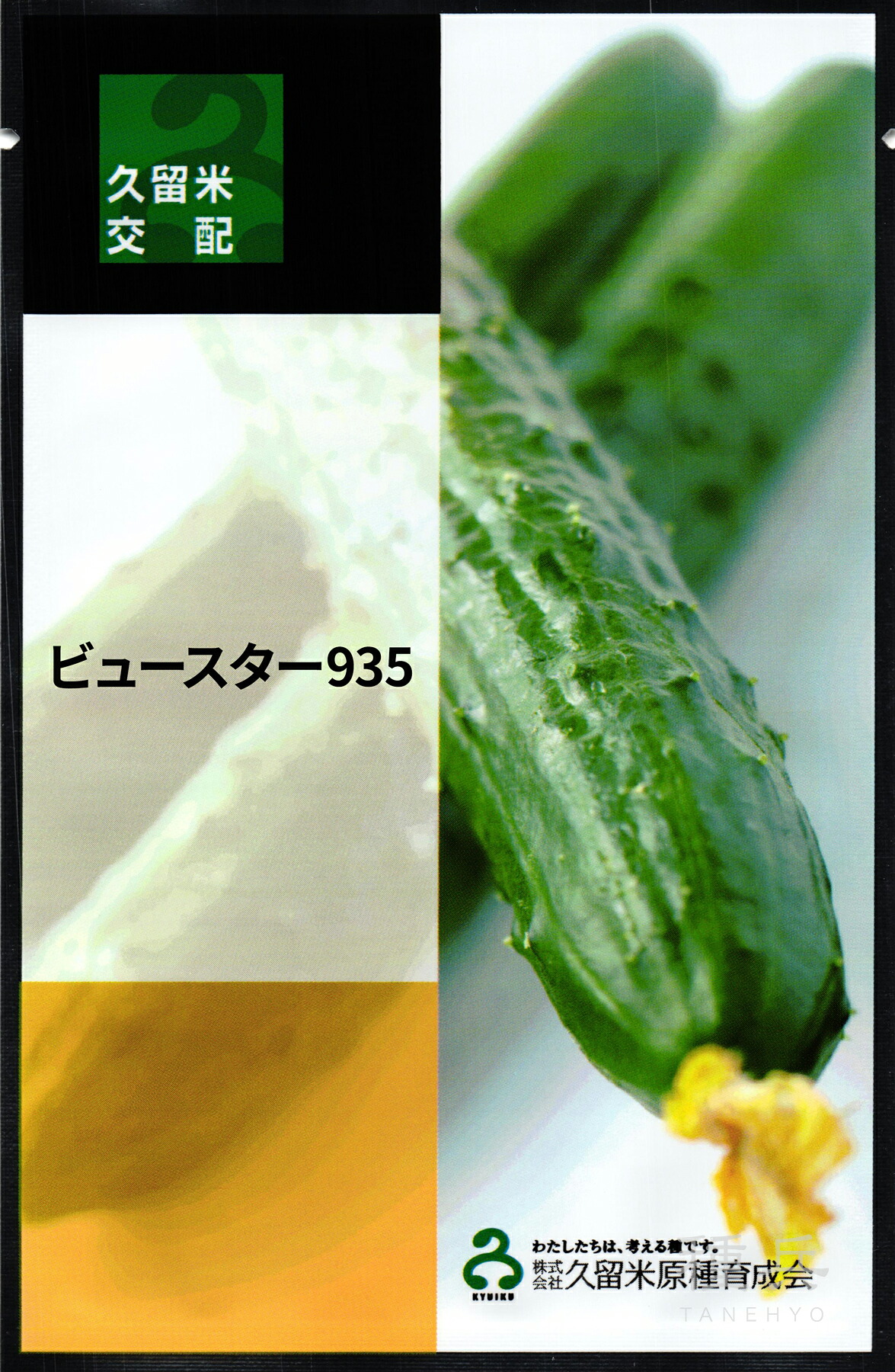 胡瓜 種 『ビュースター９３５』  久留米原種