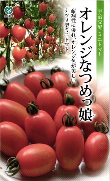 楽天市場】ミニトマト 種 『甘っこ』 丸種/小袋（20粒） : 種兵ネット