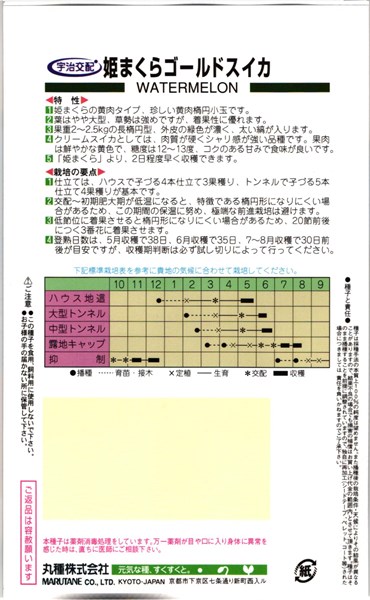 楽天市場 小玉スイカ 種 姫まくらｺﾞｰﾙﾄﾞ 0粒 丸種 種兵ネットショッピング