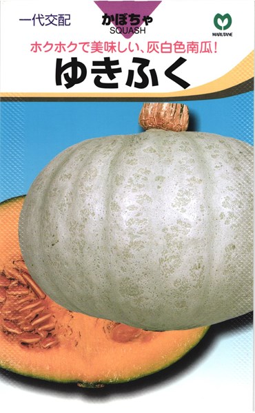 楽天市場 白皮栗カボチャ 種 ゆきふく 丸種 小袋 種兵ネットショッピング