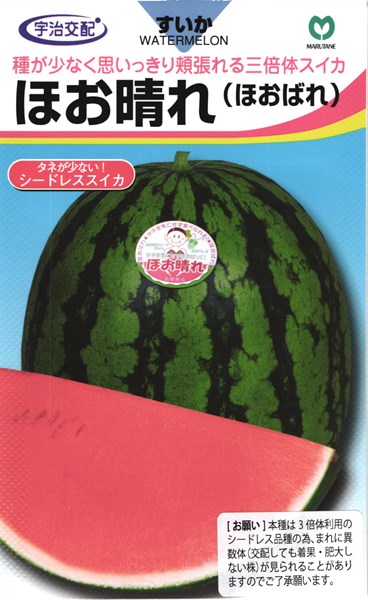楽天市場 種なしスイカ 種 ほお晴れ 丸種 小袋 種兵ネットショッピング