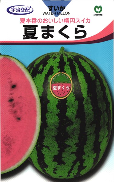 楽天市場】大玉スイカ 種 『羅王』 ナント種苗/小袋（7粒） : 種兵ネットショッピング