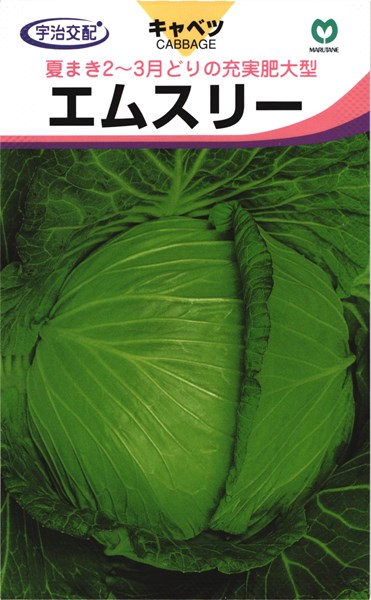 楽天市場】秋蒔き極早生キャベツ 種 『特急』 丸種/小袋（1.2ml）：種兵ネットショッピング