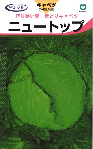 楽天市場】秋蒔き極早生キャベツ 種 『特急』 丸種/小袋（1.2ml） : 種兵ネットショッピング