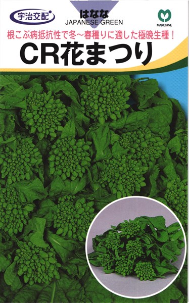 楽天市場 極晩生ナバナ 種 Cr花まつり ml 丸種 種兵ネットショッピング