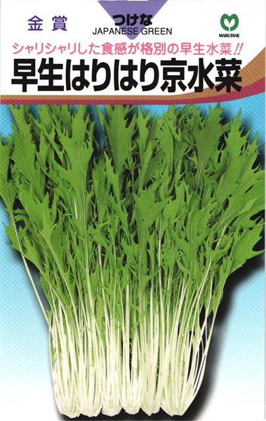 楽天市場 ミズナ 種 早生はりはり京水菜 丸種 小袋 種兵ネットショッピング