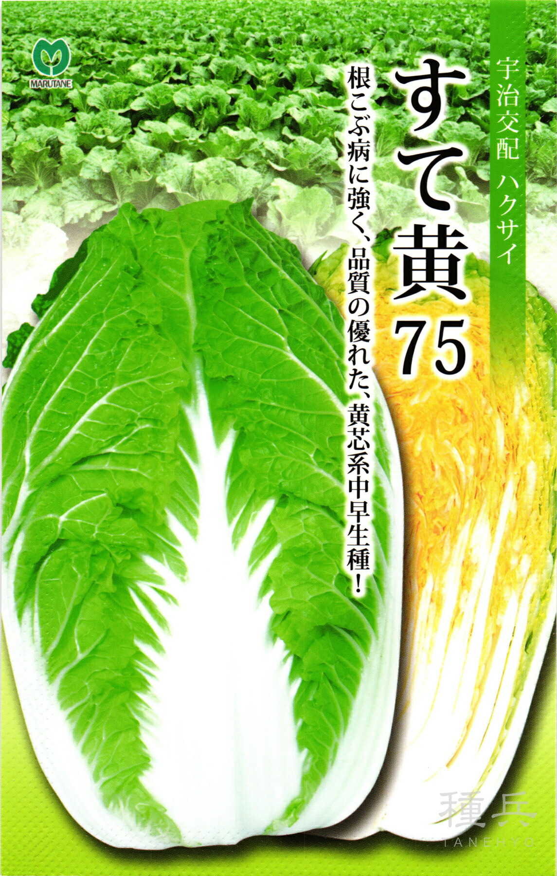 黄芯系中早生ハクサイ 種 『すて黄75』 丸種 12,373円