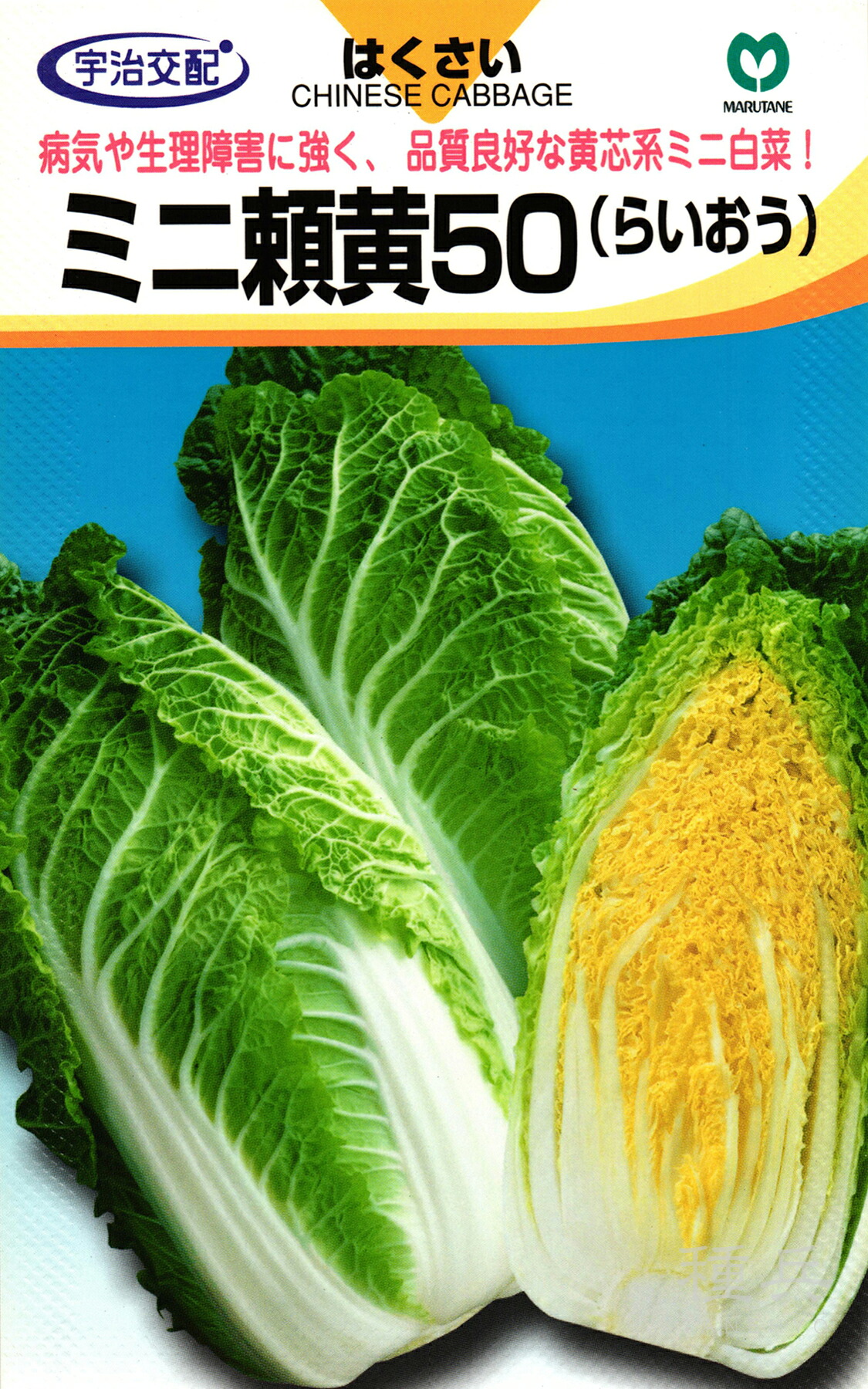 極早生ハクサイ 種 『ミニ頼黄50』  丸種
