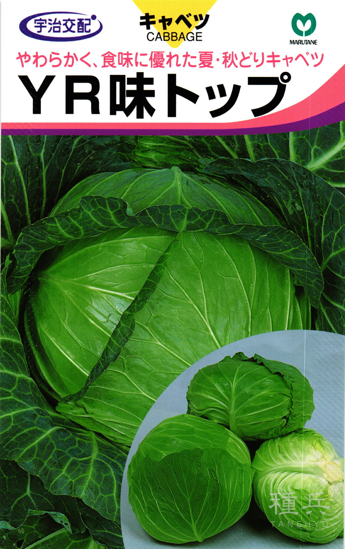 夏秋どり玉菜 種 『YR味とっ始め』  丸種
