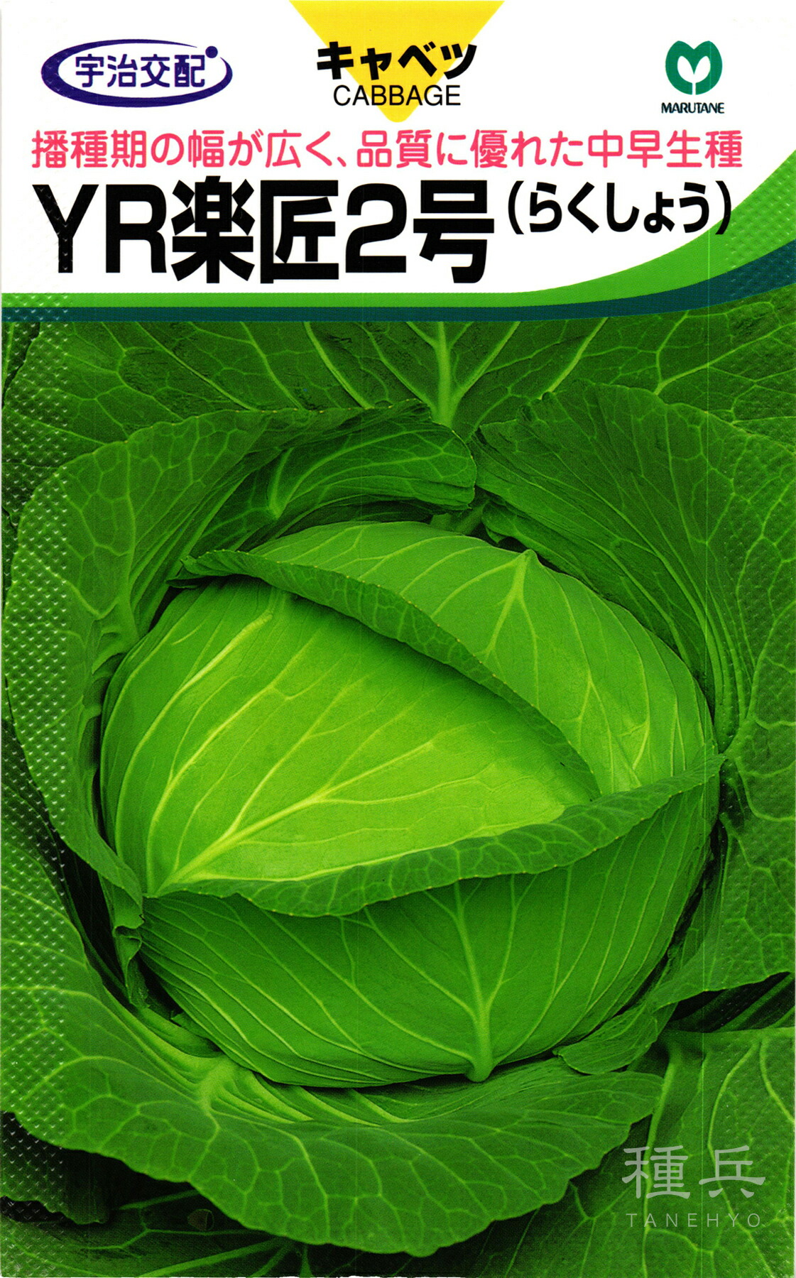 夏秋どり球菜 種 『YR楽匠2号』  丸種