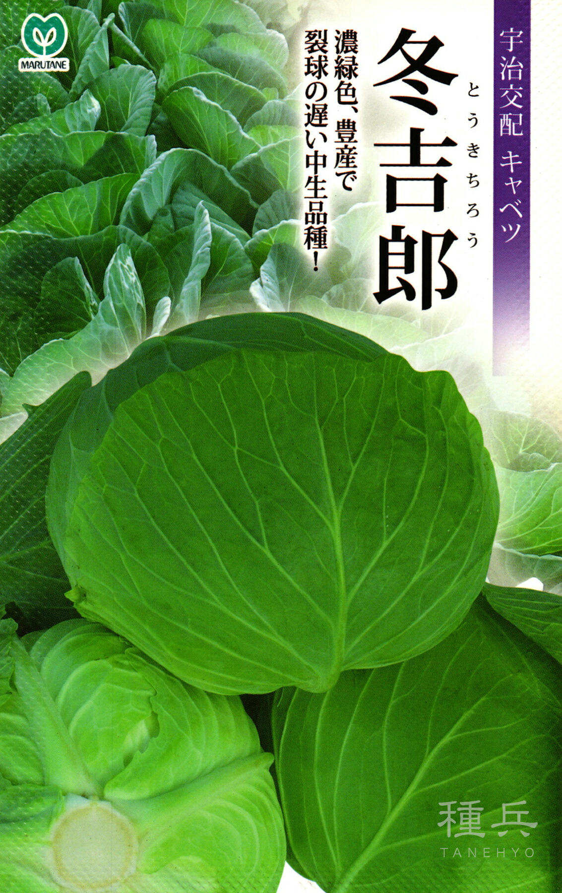 冬どり玉菜 種 『冬吉郎』  丸種