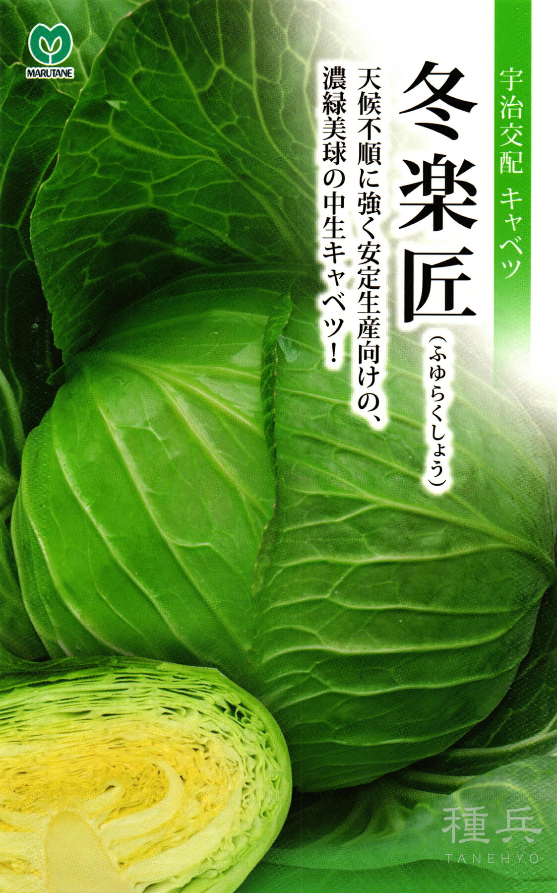 年内～冬どり球菜 種 『冬楽匠』  丸種