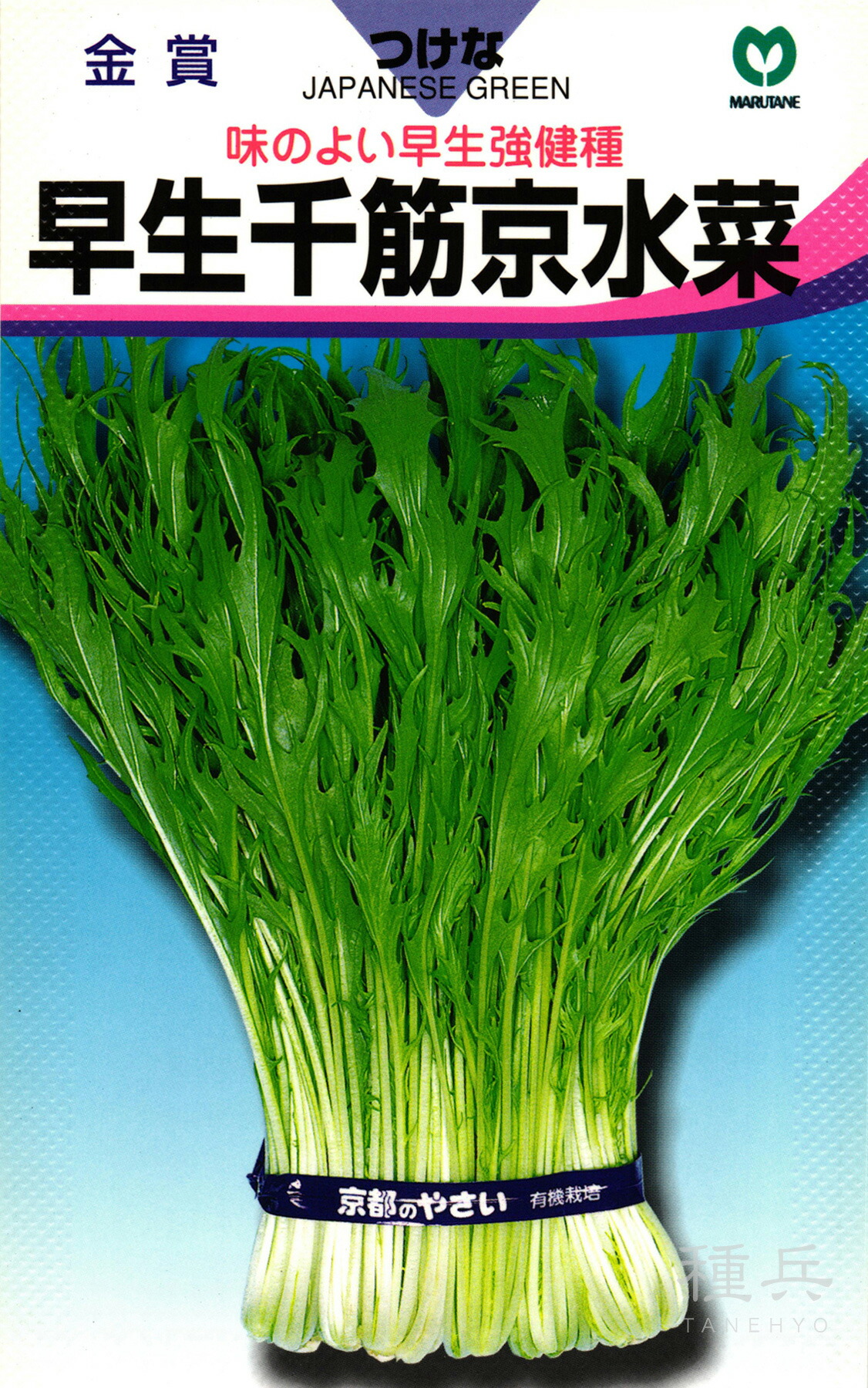 楽天市場】ミズナ 種 『サラダ用京水菜』 トキタ種苗 : 種兵ネット