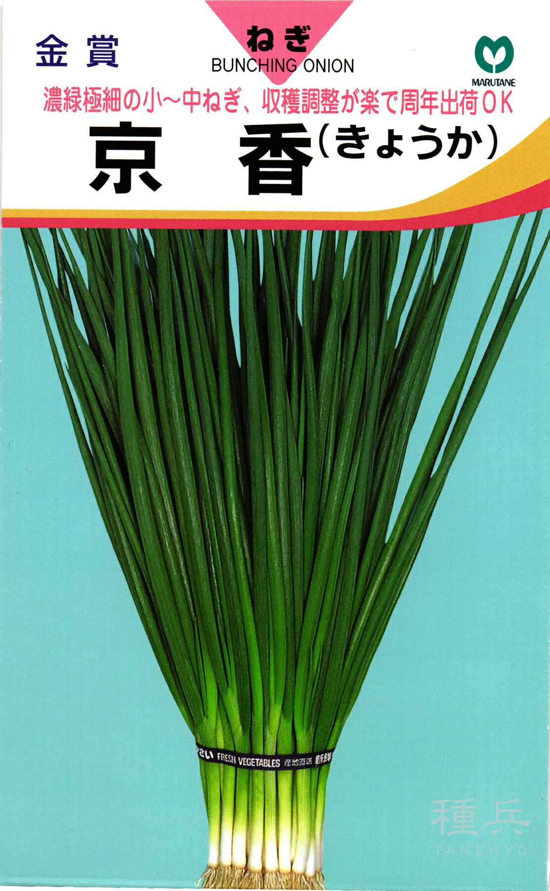 ネギ 種 『京香』 丸種