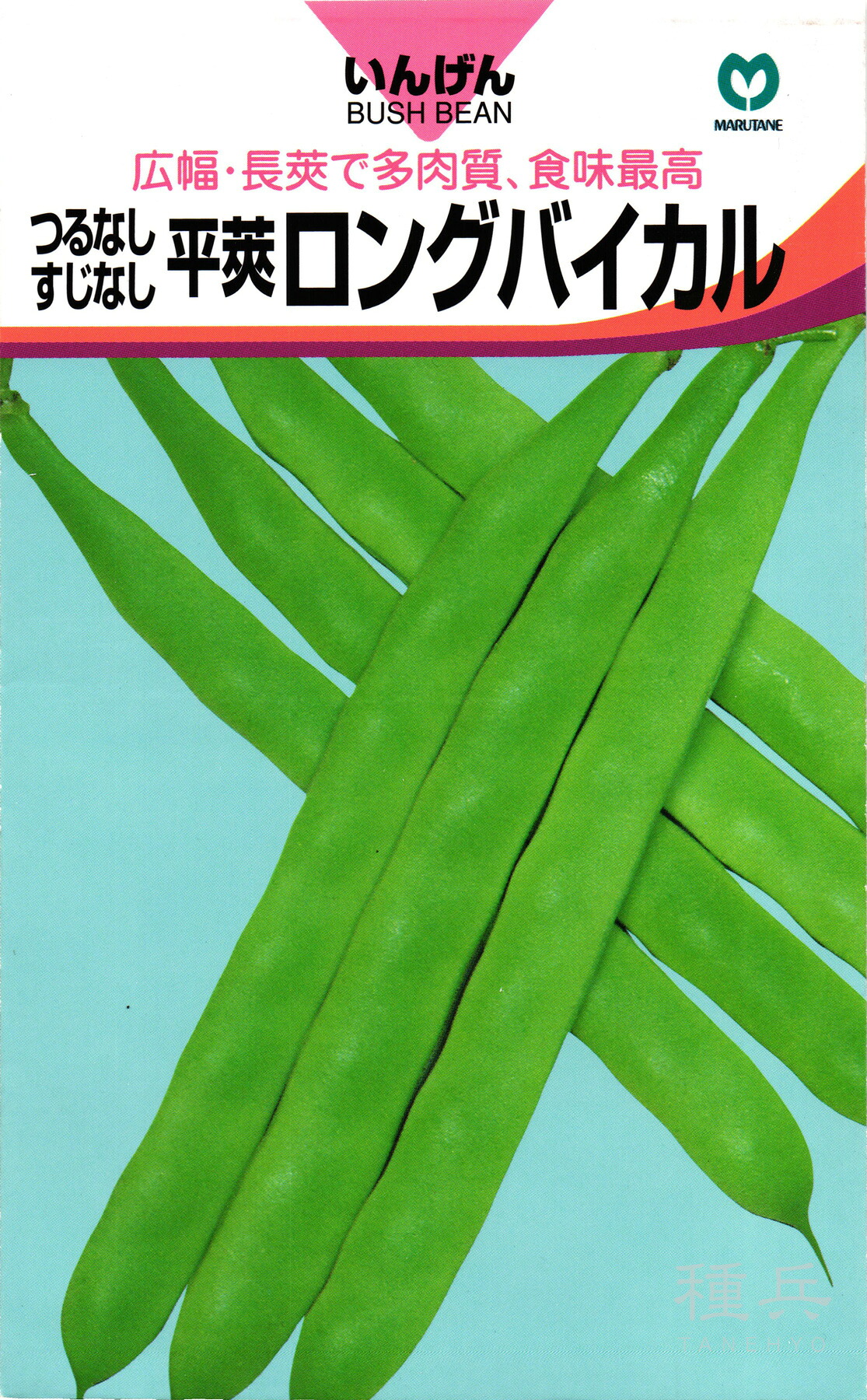 つるなしインゲン 種 『ロングバイカル』 丸種 4,675円