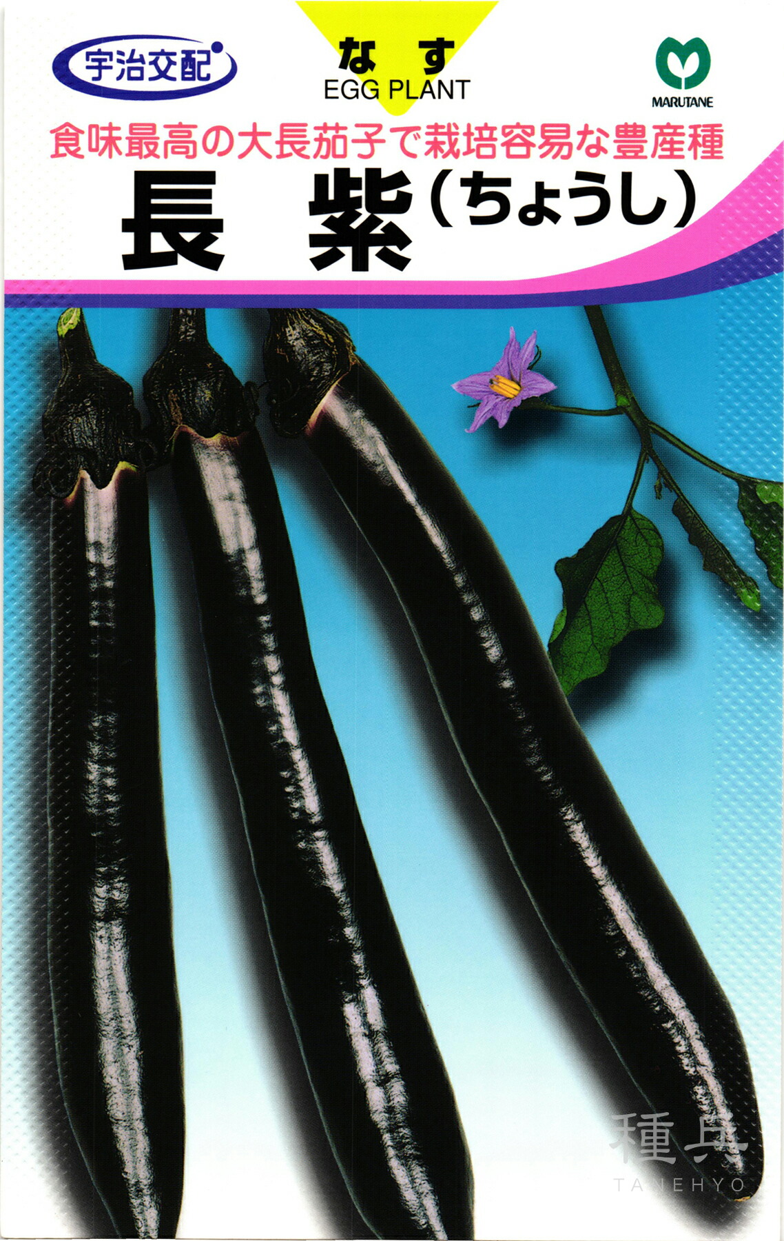 大長ナス 種 『長紫』 丸種 6,023円