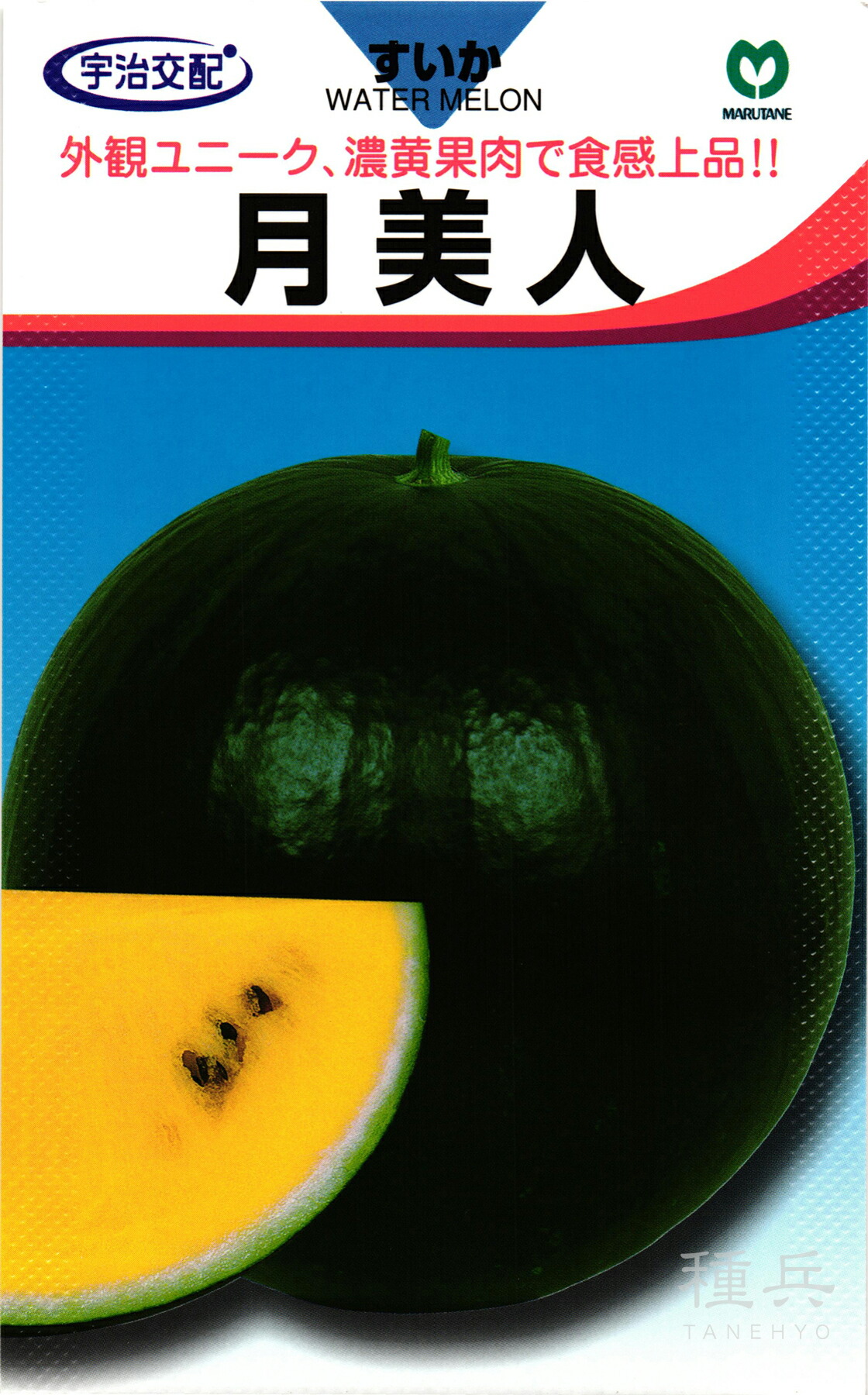 黄肉大玉スイカ 種 『月美人（つきびじん）』 丸種