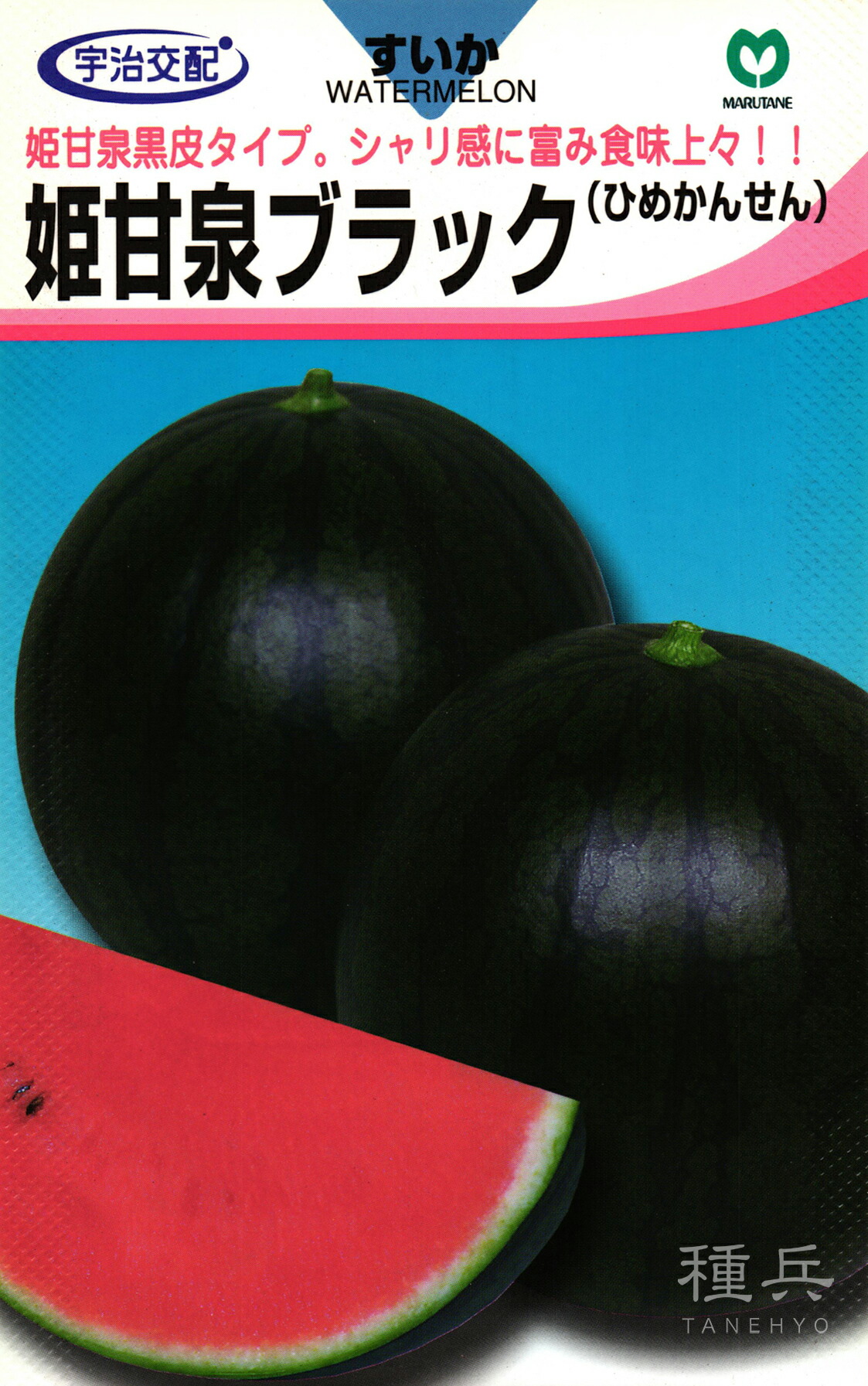 ドラゴンボール - スイカ種  imgrc0077118632.jpg