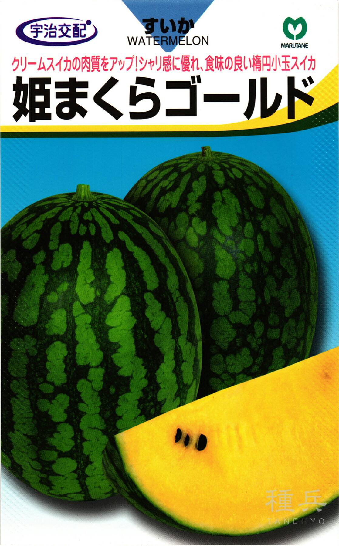 黄肉楕円面小玉スイカ 種 『姫まくらゴールド』  丸種