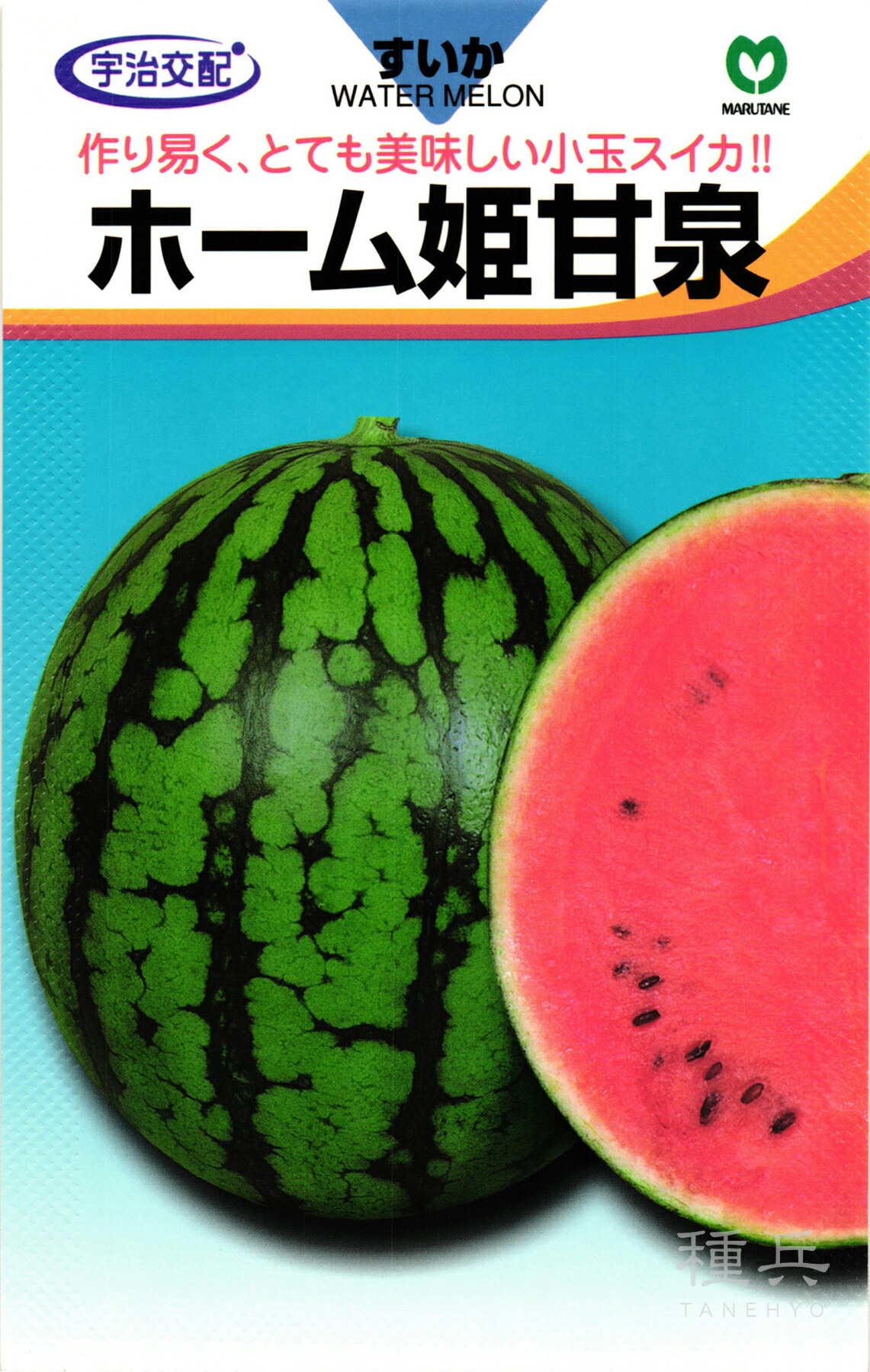 小玉スイカ 種 『介護ホーム姫甘泉』  丸種