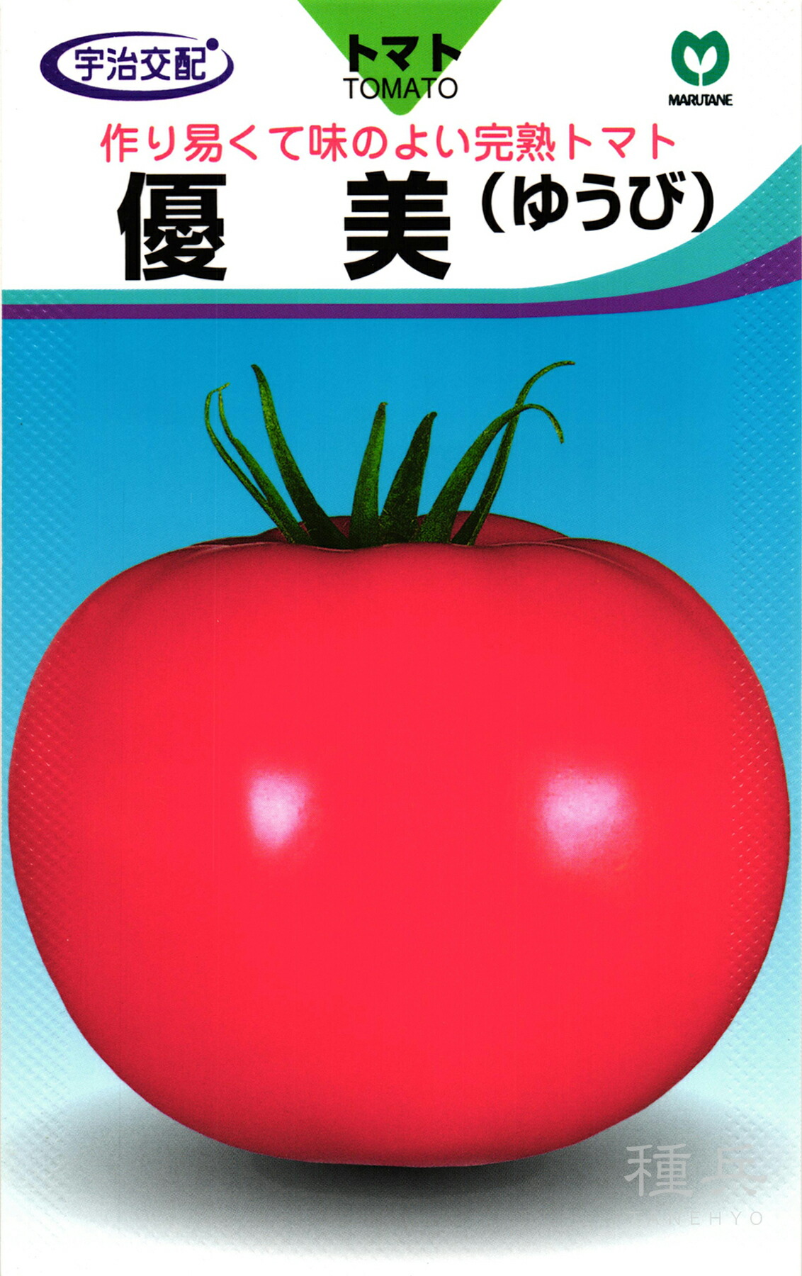 大玉赤茄子 種 『心ゆかしい』  丸種