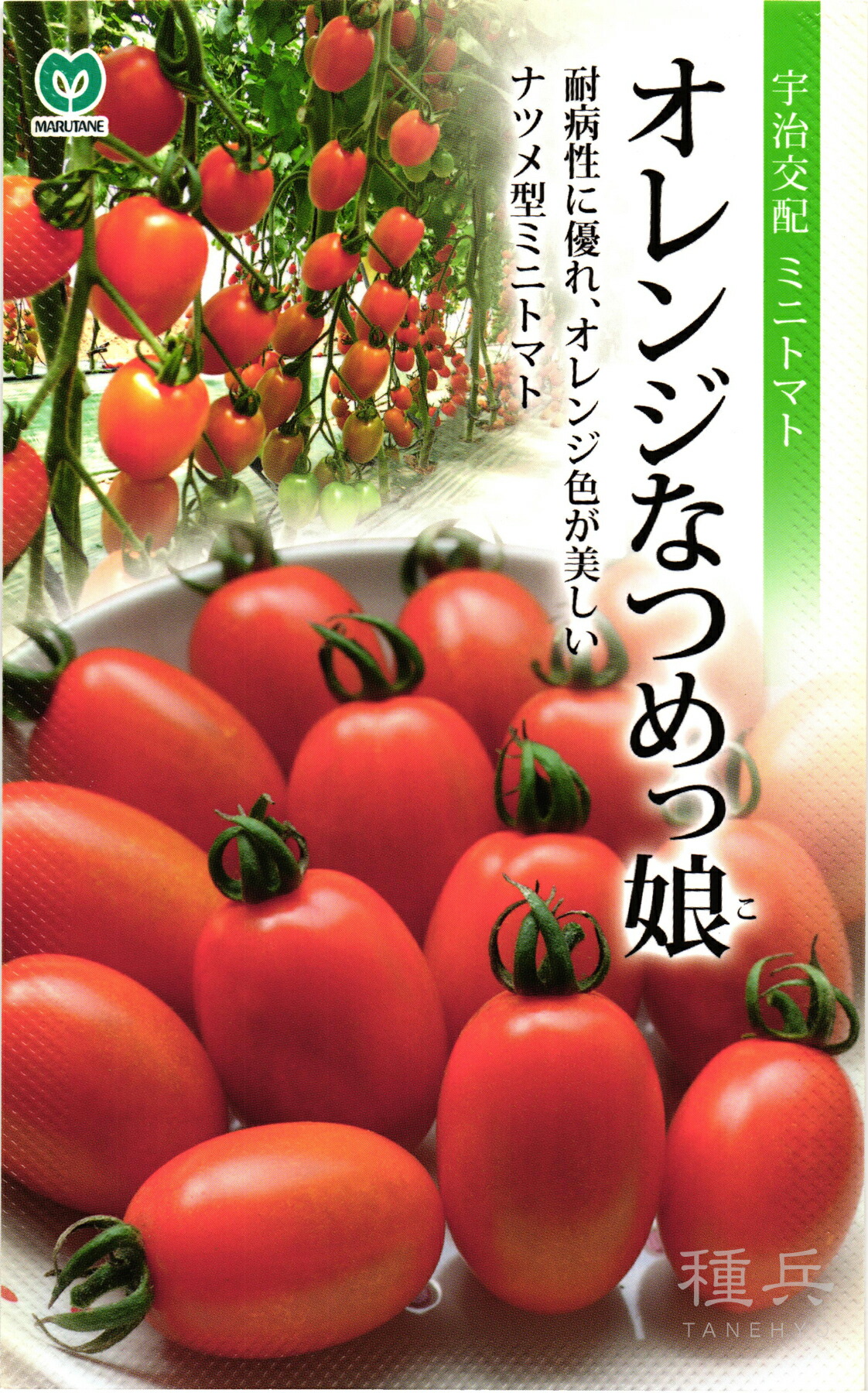 トマトページ img61460592.jpg