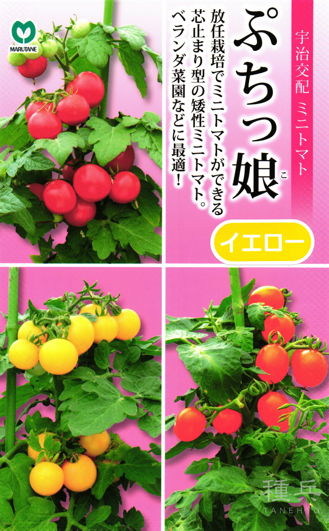 楽天市場】【ミニトマト】レジナミックス〔サカタ育成〕 / 小袋